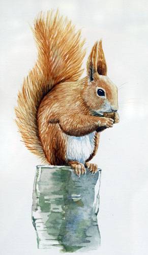 POST PIANTE MRABILIA 013_VERIFICARE POST PIANTE MRABILIA 013_VERIFICARE