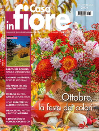 CIF10 cover CIF10 cover