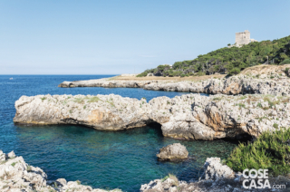 le-marine-di-nardo le-marine-di-nardo