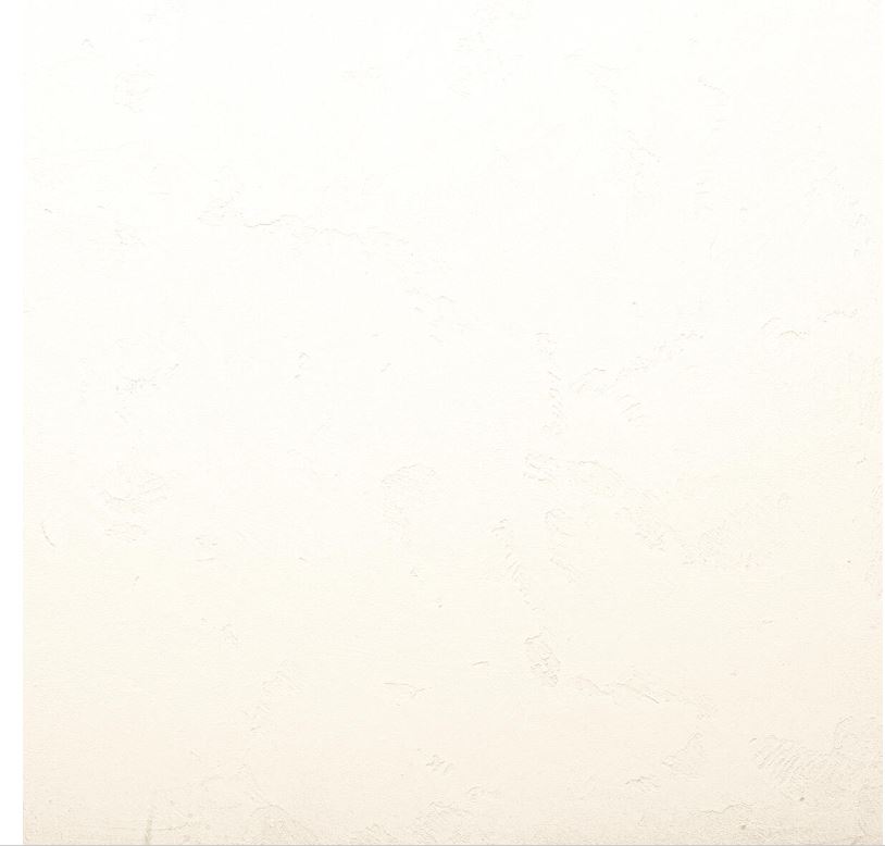 Pittura decorativa Geckos in vendita da Leroy Merlin effetto cemento bianco. www.leroymerlin.it Pittura decorativa Geckos in vendita da Leroy Merlin effetto cemento bianco. www.leroymerlin.it