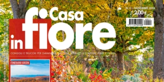 Casa in Fiore di novembre 2024, in edicola dal 24 ottobre