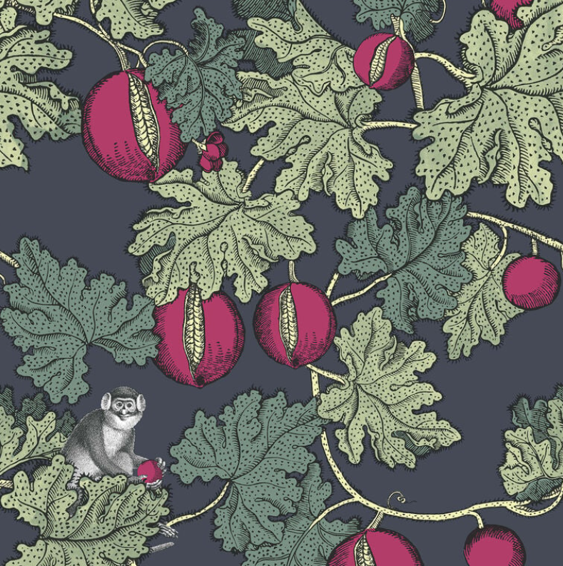 La carta da parati Frutto Proibito di Fornasetti ritrae scimmie dispettose appollaiate su rami di melograno. Su uno sfondo scuro spiccano le grandi foglie color sabbia e i frutti color magenta, in una composizione giocosa di flora e fauna che mescola incisioni naturalistiche e stampa dallo stile decadente. www.fornasetti.com