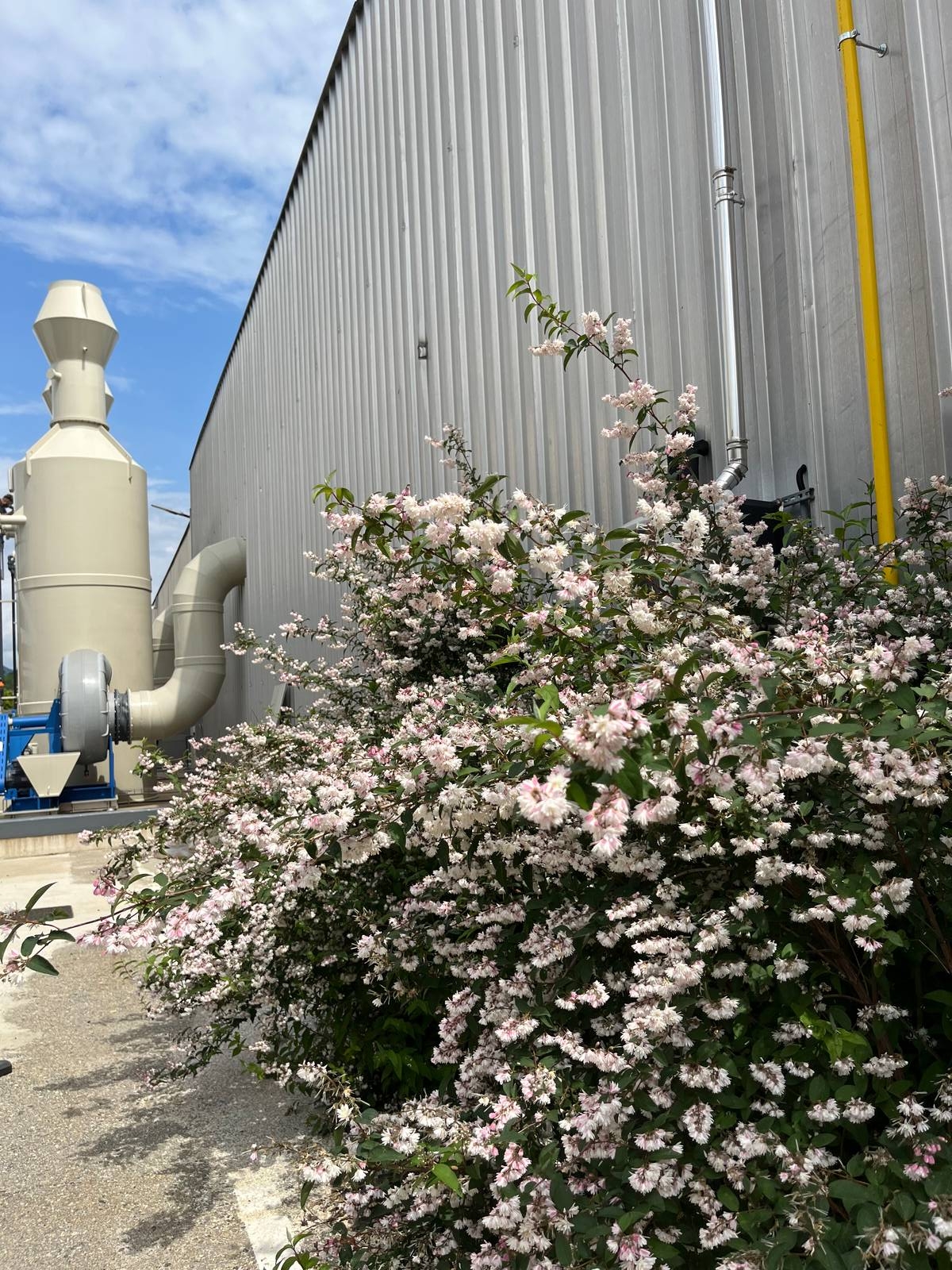 Nuova linea galvanica nell'impianto di Cristina Rubinetterie a Gargallo (No). Nuova linea galvanica nell'impianto di Cristina Rubinetterie a Gargallo (No).