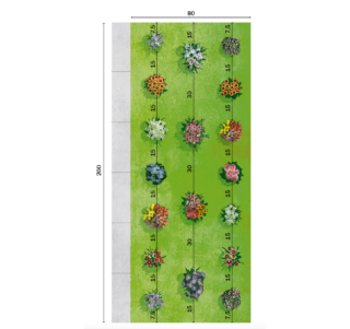 progetto-verde-distanze progetto-verde-distanze