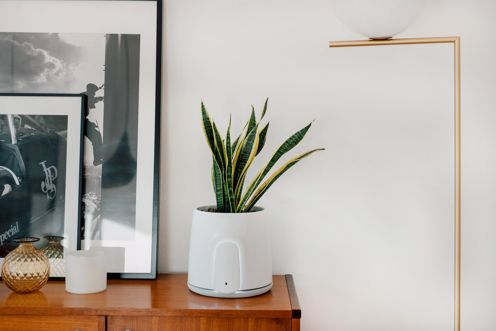 Natede Smart di Vitesy non necessita di cambio filtri grazie alla sua doppia tecnologia di purificazione: fitodepurazione e fotocatalisi. Aumenta notevolmente il potere purificatore delle piante e non si limita a bloccare gli inquinanti, ma li elimina. Elimina il 95% di COV e il 99% di virus e batteri, riduce odori e particolato fine, garantendo un’aria pulita ed evitando sprechi di materiale e costi extra grazie al suo filtro lavabile. È gestibile da app. Prezzo 349 euro. www.vitesy.com Natede Smart di Vitesy non necessita di cambio filtri grazie alla sua doppia tecnologia di purificazione: fitodepurazione e fotocatalisi. Aumenta notevolmente il potere purificatore delle piante e non si limita a bloccare gli inquinanti, ma li elimina. Elimina il 95% di COV e il 99% di virus e batteri, riduce odori e particolato fine, garantendo un’aria pulita ed evitando sprechi di materiale e costi extra grazie al suo filtro lavabile. È gestibile da app. Prezzo 349 euro. www.vitesy.com