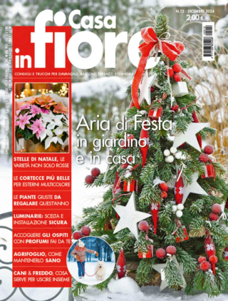 CIF12-cover