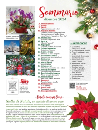 CIF12-sommario CIF12-sommario