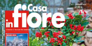 Casa in Fiore di gennaio 2025, in edicola dal 24 dicembre