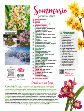 CIF01-sommario CIF01-sommario