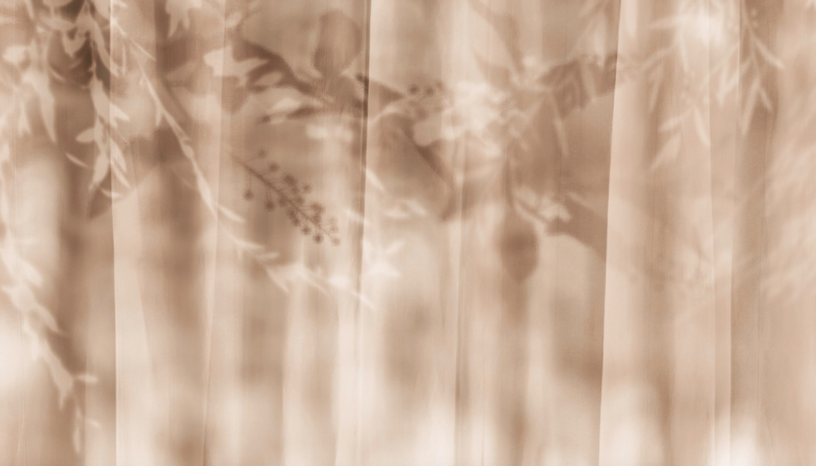 Carta da parati Sun and Shadow di SpaghettiWall