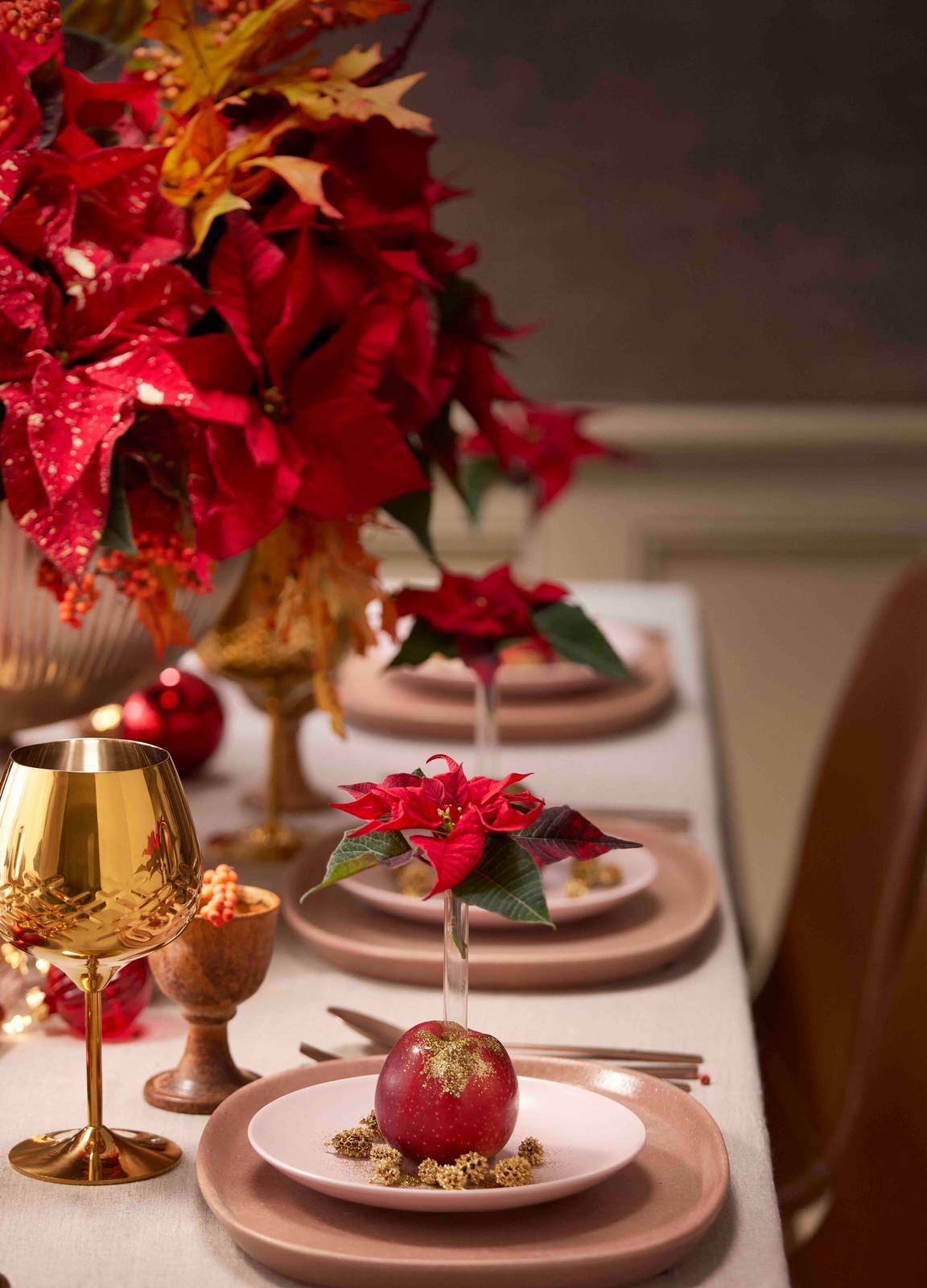 Foto di Stars for Europe Foto di Stars for Europe