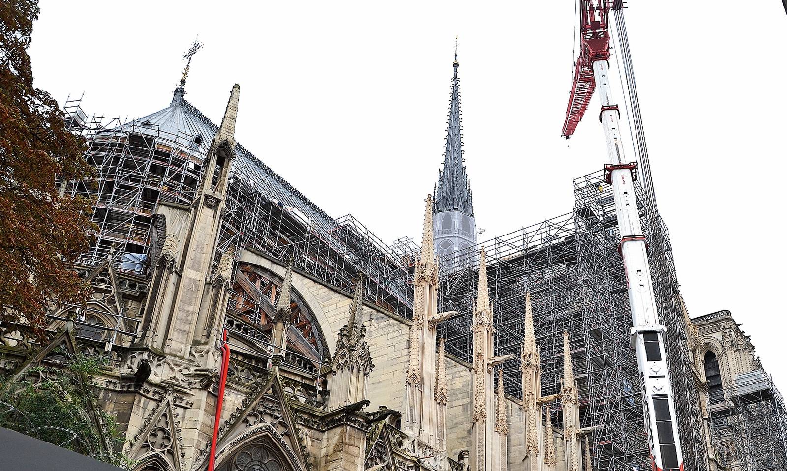 Dettaglio Notre Dame lavori