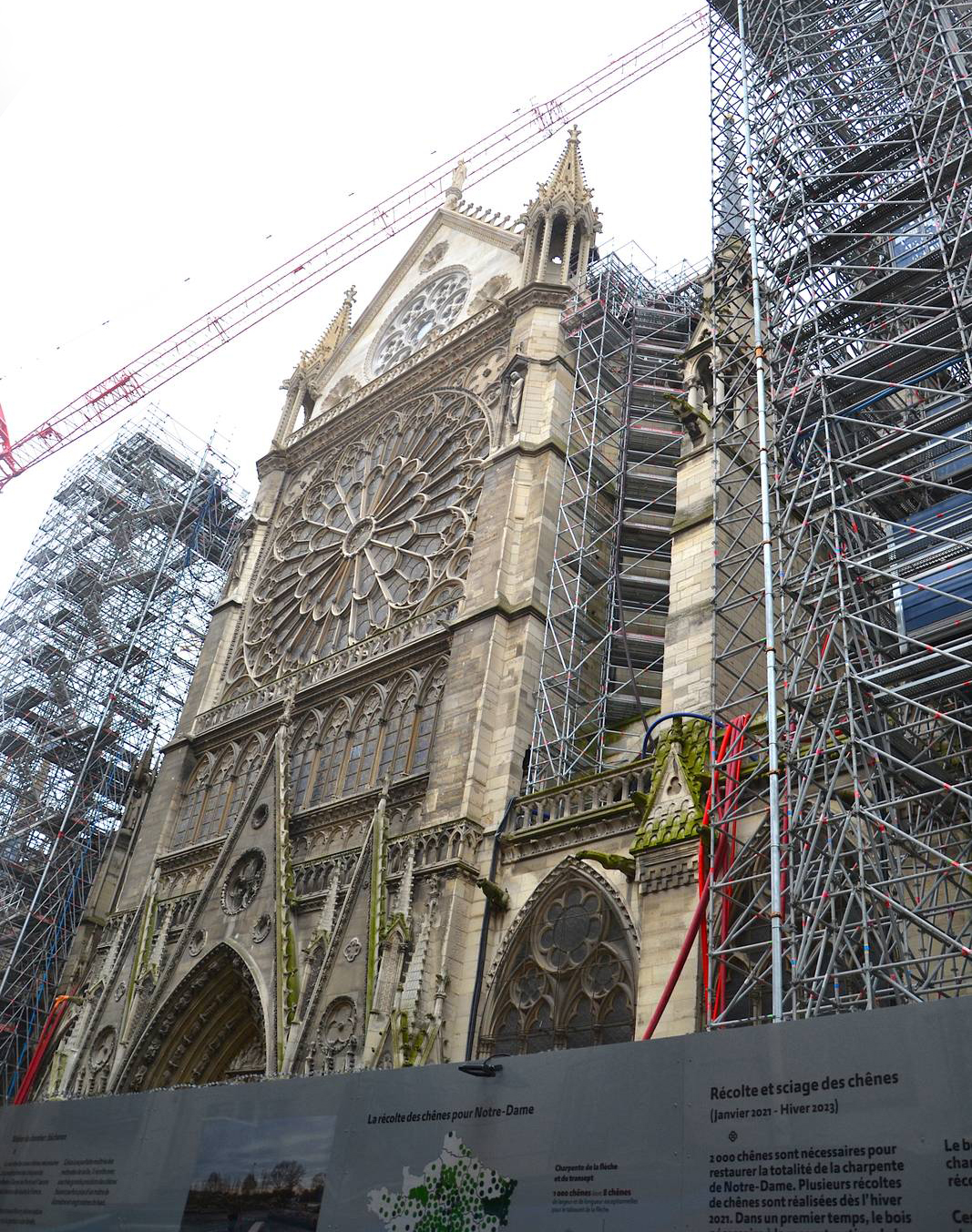 Dettaglio facciata Notre Dame