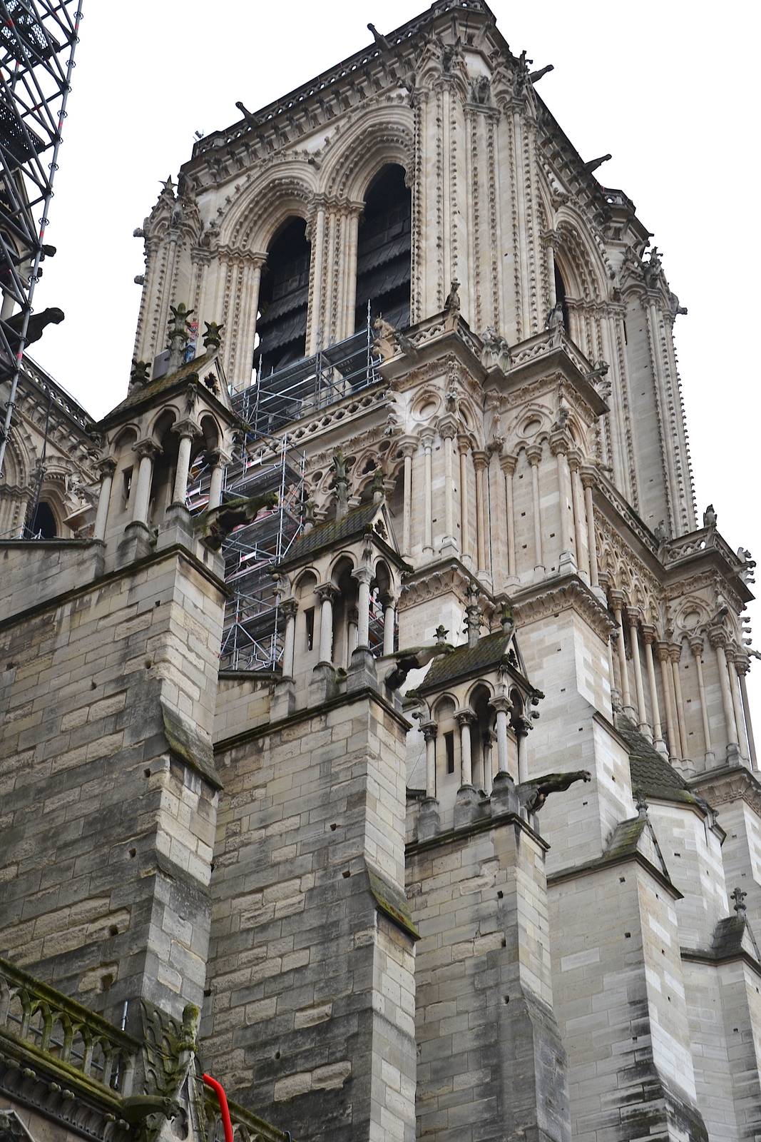 Particolare Notre Dame