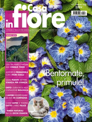 CIF2_cover