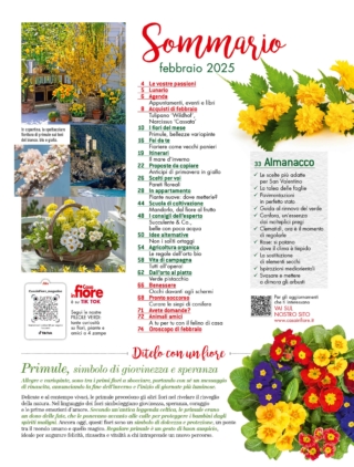 CIF2_sommario CIF2_sommario