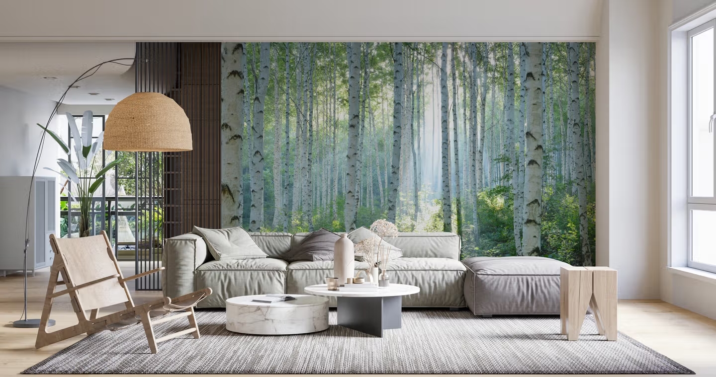 La carta da parati Peacefull Birch Woods di Wallism porta la bellezza e la tranquillità di una foresta di betulle con una leggera tonalità di verde, porta l’aria aperta all’interno dell’ambiente in cui la si posa. La finitura opaca di questo elegante murale dona un'atmosfera di pace alla casa, il supporto è in tessuto non tessuto di qualità superiore senza PVC, la carta da parati viene prodotta e adattata su richiesta alle misure specifiche della parete cui è destinata. Prezzo 39 euro/mq. www.wallism.com La carta da parati Peacefull Birch Woods di Wallism porta la bellezza e la tranquillità di una foresta di betulle con una leggera tonalità di verde, porta l’aria aperta all’interno dell’ambiente in cui la si posa. La finitura opaca di questo elegante murale dona un'atmosfera di pace alla casa, il supporto è in tessuto non tessuto di qualità superiore senza PVC, la carta da parati viene prodotta e adattata su richiesta alle misure specifiche della parete cui è destinata. Prezzo 39 euro/mq. www.wallism.com