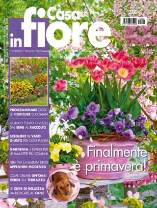 CIF03_cover