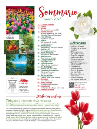 CIF03_sommario CIF03_sommario