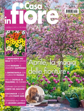 CIF04_cover CIF04_cover