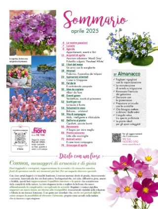 CIF04_sommario CIF04_sommario