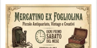 Cremona, Mercatino 1 sabato Cremona, Mercatino 1 sabato