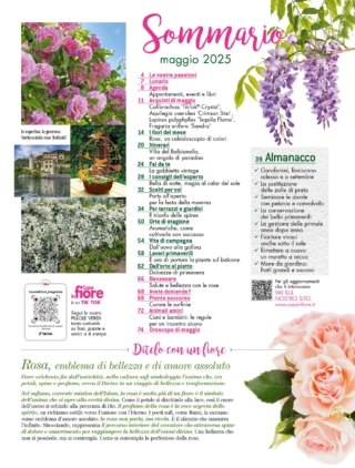 CIF05_sommario
