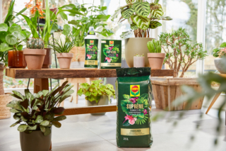 COMPO punta su una serie di nuovi prodotti performanti della linea Suprême: all'interno c'è il terriccio universale e due tipologie di concime a lenta cessione, uno liquido e l'altro granulare. https://www.compo-hobby.it/