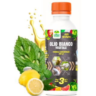 L’olio bianco vegetale di soia a firma di Alba Garden in formula concentrata è studiato appositamente per intervenire contro cocciniglie, ma anche afidi e attacchi di mosca bianca e insetti. Previene gli attacchi e rafforza la pianta. Prezzo: 14,90 euro su amazon.it L’olio bianco vegetale di soia a firma di Alba Garden in formula concentrata è studiato appositamente per intervenire contro cocciniglie, ma anche afidi e attacchi di mosca bianca e insetti. Previene gli attacchi e rafforza la pianta. Prezzo: 14,90 euro su amazon.it
