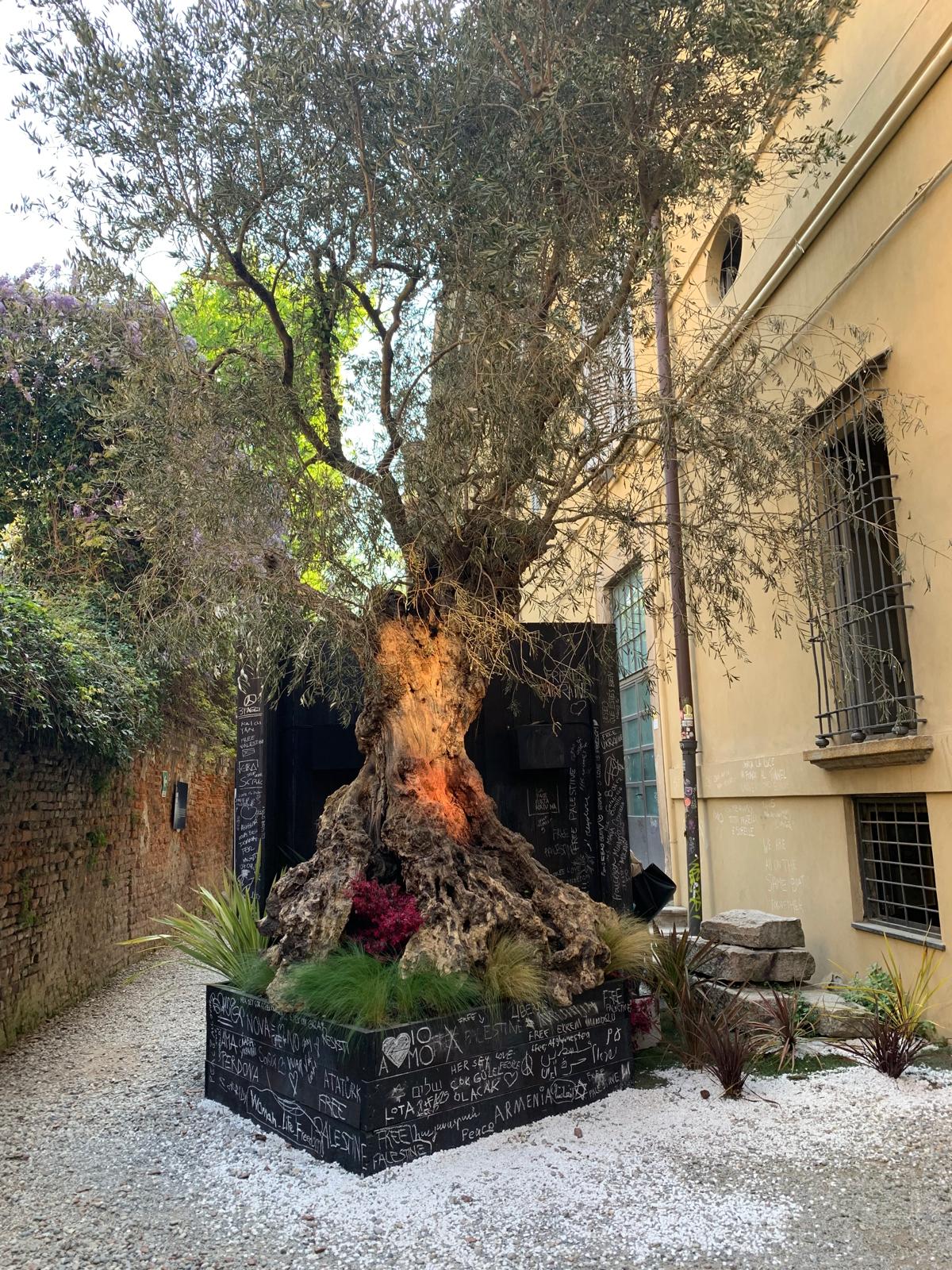 Strettone della Pinacoteca Fuorisalone 2025 Strettone della Pinacoteca Fuorisalone 2025