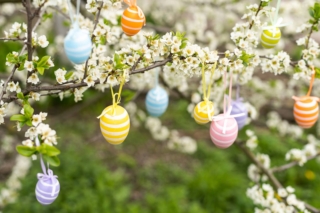 Beautiful,Easter,Painted,Eggs,In,The,Branches,Of,A,Blossoming Beautiful,Easter,Painted,Eggs,In,The,Branches,Of,A,Blossoming