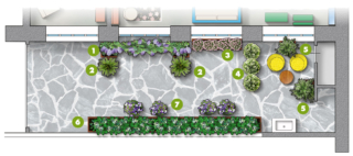1. Glicine 2. Cycas3. Salvia 4. Osmanthus e bulbi 5. Rosmarino 6. Holbelia 7. Brunfelsia 1. Glicine 2. Cycas3. Salvia 4. Osmanthus e bulbi 5. Rosmarino 6. Holbelia 7. Brunfelsia