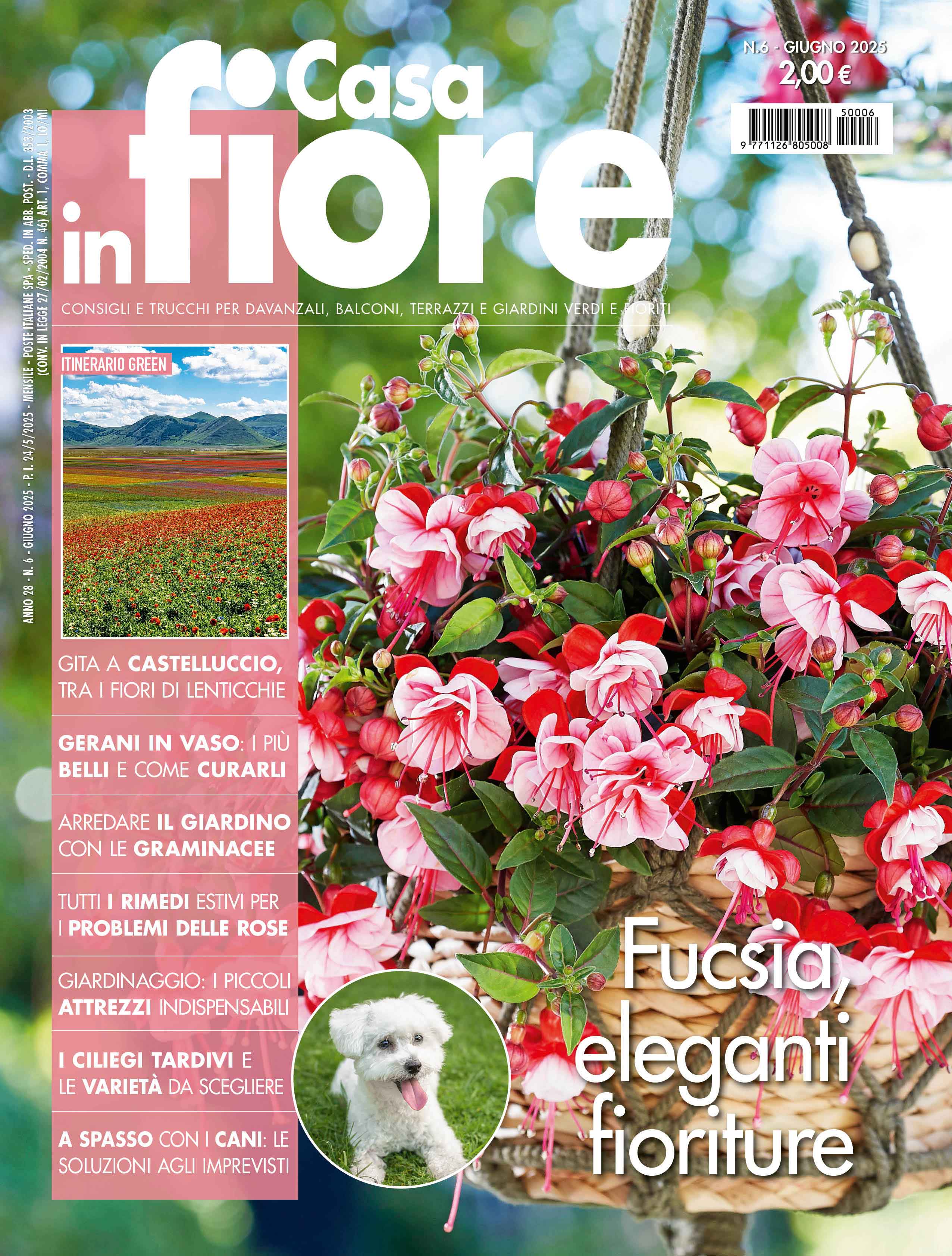 Casa in Fiore di giugno 2025, in edicola dal 24 maggio