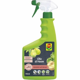 Anche lo spray Olio di Neem di Compo è un ottimo strumento per proteggere le piante dagli insetti, bruchi inclusi. Naturale al 100%, è l’ideale per piante da orto, frutto e ornamentali. Prezzo: 12,43 euro su amazon.it Anche lo spray Olio di Neem di Compo è un ottimo strumento per proteggere le piante dagli insetti, bruchi inclusi. Naturale al 100%, è l’ideale per piante da orto, frutto e ornamentali. Prezzo: 12,43 euro su amazon.it