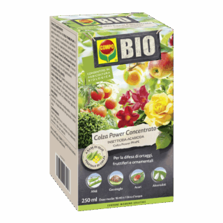 COMPO BIO Colza Power PFnPE è un prodotto molto efficace per combattere diversi insetti che si nutrono pungendo e succhiando, come afidi, tripidi, mosche bianche, cocciniglie e anche gli acari. Il suo funzionamento è piuttosto semplice ma efficace: crea una pellicola impermeabile che avvolge gli insetti e le loro uova, causando la loro morte per soffocamento.
Questo prodotto è ideale per proteggere una vasta gamma di piante, dalle colture orticole a quelle da frutto, fino alle piante ornamentali che si trovano in giardino, in casa o sul balcone, sia che siano coltivate in vaso o direttamente in terra. Un altro vantaggio è che, per tutte le colture trattate, basta aspettare solo tre giorni dall’ultimo utilizzo prima di poter raccogliere i frutti o le verdure in sicurezza.
Inoltre, COMPO BIO Colza Power PFnPE è realizzato utilizzando olio di colza, una materia prima vegetale e rinnovabile, il che lo rende una scelta rispettosa dell’ambiente. https://www.compo-hobby.it/ COMPO BIO Colza Power PFnPE è un prodotto molto efficace per combattere diversi insetti che si nutrono pungendo e succhiando, come afidi, tripidi, mosche bianche, cocciniglie e anche gli acari. Il suo funzionamento è piuttosto semplice ma efficace: crea una pellicola impermeabile che avvolge gli insetti e le loro uova, causando la loro morte per soffocamento.
Questo prodotto è ideale per proteggere una vasta gamma di piante, dalle colture orticole a quelle da frutto, fino alle piante ornamentali che si trovano in giardino, in casa o sul balcone, sia che siano coltivate in vaso o direttamente in terra. Un altro vantaggio è che, per tutte le colture trattate, basta aspettare solo tre giorni dall’ultimo utilizzo prima di poter raccogliere i frutti o le verdure in sicurezza.
Inoltre, COMPO BIO Colza Power PFnPE è realizzato utilizzando olio di colza, una materia prima vegetale e rinnovabile, il che lo rende una scelta rispettosa dell’ambiente. https://www.compo-hobby.it/