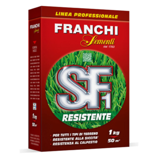 Una gamma di 4 referenze studiate per rispondere a tutte le esigenze, i prodotti SF compongono la linea professionale di sementi da prato derivata dall’esperienza professionale di Franchi Sementi. I miscugli sono stati selezionati per avere resistenza a differenti condizioni climatiche, un alto valore ornamentale, una crescita lenta ed un’elevata capacità tappezzante. Il packaging della linea SF ha un design moderno e colorato. Conf. da 1 kg. www.franchisementi.it Una gamma di 4 referenze studiate per rispondere a tutte le esigenze, i prodotti SF compongono la linea professionale di sementi da prato derivata dall’esperienza professionale di Franchi Sementi. I miscugli sono stati selezionati per avere resistenza a differenti condizioni climatiche, un alto valore ornamentale, una crescita lenta ed un’elevata capacità tappezzante. Il packaging della linea SF ha un design moderno e colorato. Conf. da 1 kg. www.franchisementi.it