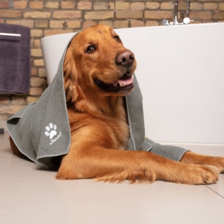Il panno in microfibra Vileda Pet Pro Microfibre Towel può essere usato per pulire e asciugare velocemente e delicatamente l’animale domestico. La struttura a nido d’ape e la microfibra con cui è realizzato rimuovono delicatamente lo sporco, inoltre è super assorbente. È disponibile in due misure per adattarsi ad animali di tutte le taglie. Può essere lavato in lavatrice fino a 60ºC e si asciuga in circa 4 ore. www.vileda.it Il panno in microfibra Vileda Pet Pro Microfibre Towel può essere usato per pulire e asciugare velocemente e delicatamente l’animale domestico. La struttura a nido d’ape e la microfibra con cui è realizzato rimuovono delicatamente lo sporco, inoltre è super assorbente. È disponibile in due misure per adattarsi ad animali di tutte le taglie. Può essere lavato in lavatrice fino a 60ºC e si asciuga in circa 4 ore. www.vileda.it