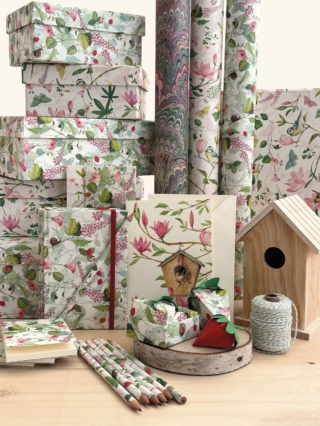 Tassotti fantasie Campanelle e Magnolia Giapponese Tassotti fantasie Campanelle e Magnolia Giapponese