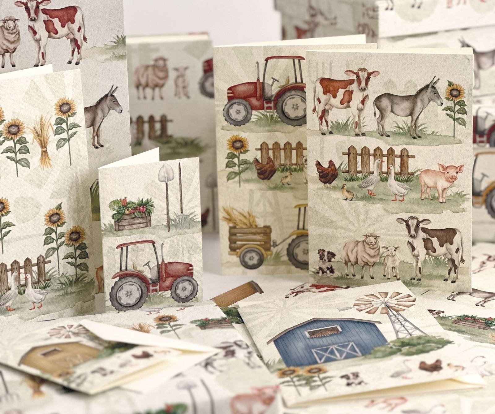 Tassotti Fattoria Tassotti Fattoria