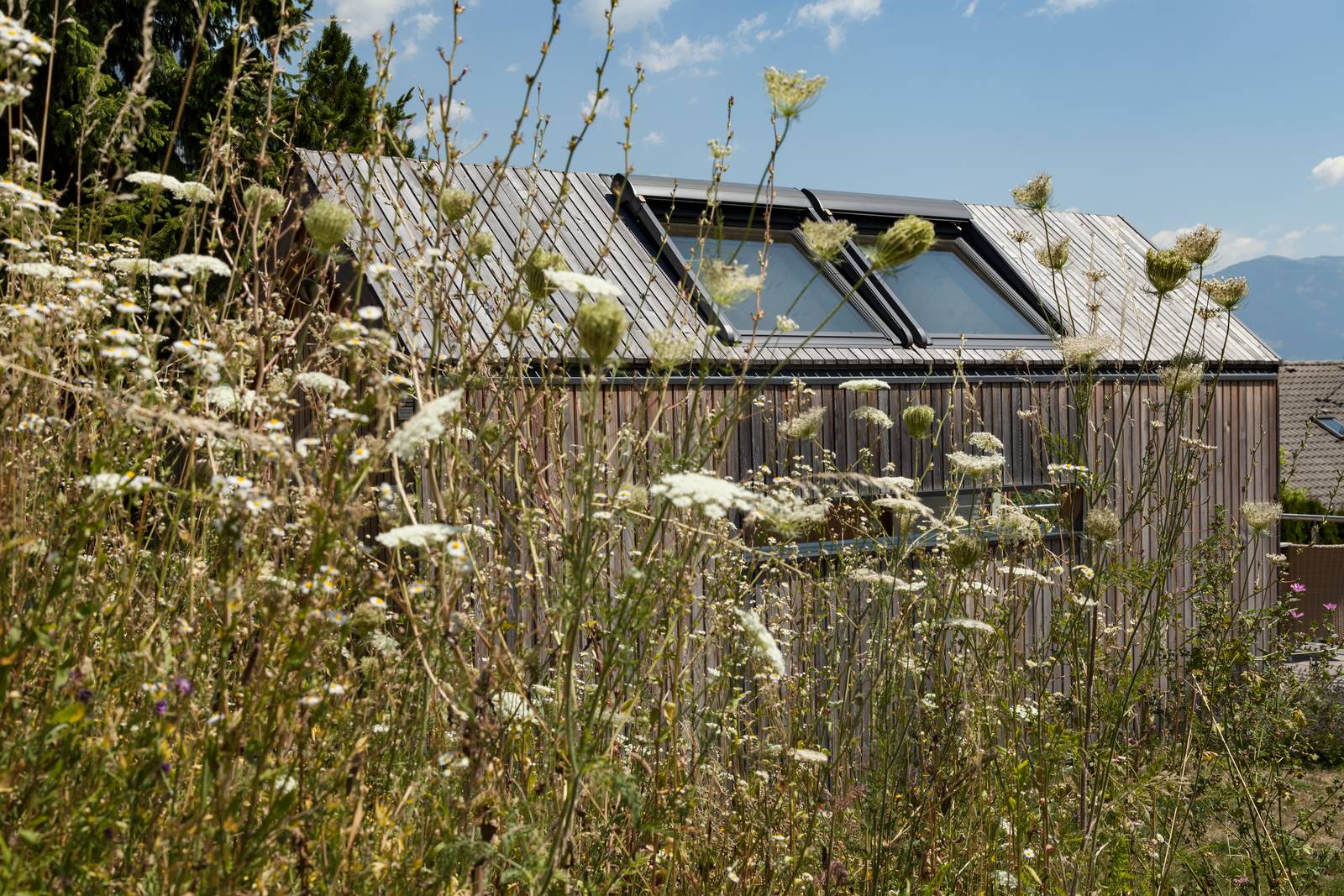 In estate il tetto è esposto ai raggi del sole, accumula calore e lo diffonde gradualmente all'interno. Al contrario, in inverno, un tetto mal isolato o senza coibentazione lascia fuoriuscire il calore interno, causando dispersione termica. Il tetto può rappresentare fino al 30% della perdita di calore di una casa. Un buon materiale isolante e un corretto isolamento termico del tetto migliorano l'efficienza energetica della casa e aiutano a mantenere una temperatura interna stabile, per un comfort ottimale sia in estate che in inverno.