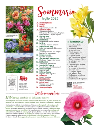 CIF07_sommario- CIF07_sommario-