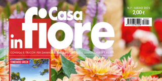 Casa in Fiore di luglio 2025, in edicola dal 24 giugno