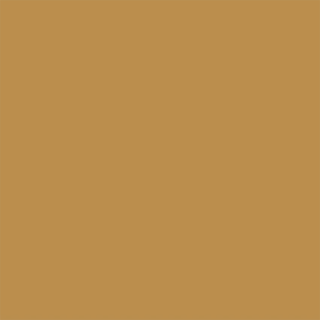 Pantone® 16-1139 TPX Amber Gold Pantone® 16-1139 TPX Amber Gold