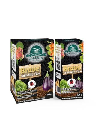 brave-controllo-vivo brave-controllo-vivo