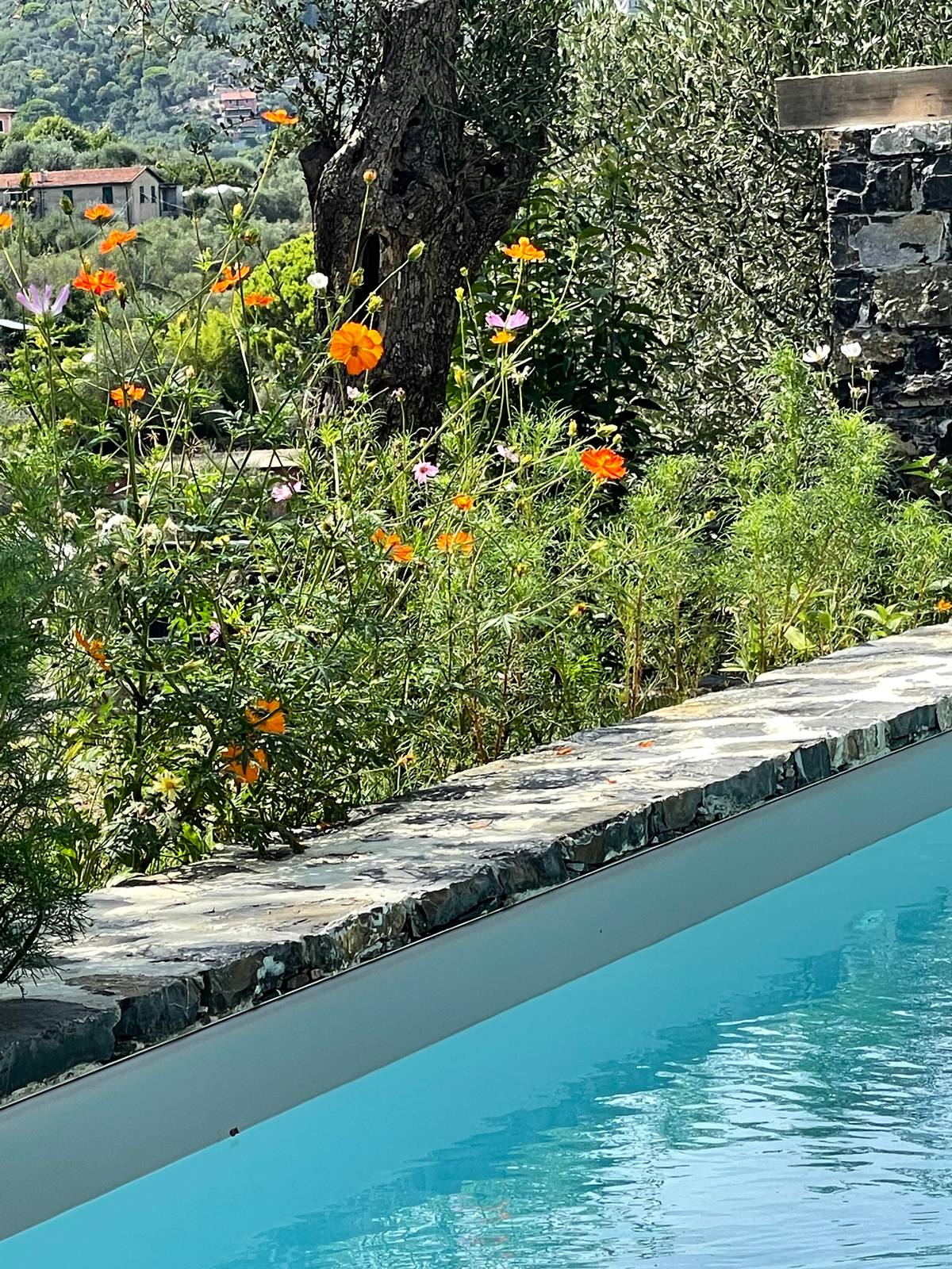 La vista della piscina finita , in cui si vede il bordo, il prato, i fiori che sono stati piantati dopo il bordo, la scala che scende e il colore dell’acqua, fresco e chiaro. Il bordo della piscina è stato realizzato con le pietre dello scavo, tagliate e rese piatte, che circondano tutto il perimetro e si accompagnano nello stile alle aiuole delimitate da muretti a secco realizzate con le stesse pietre. La vista della piscina finita , in cui si vede il bordo, il prato, i fiori che sono stati piantati dopo il bordo, la scala che scende e il colore dell’acqua, fresco e chiaro. Il bordo della piscina è stato realizzato con le pietre dello scavo, tagliate e rese piatte, che circondano tutto il perimetro e si accompagnano nello stile alle aiuole delimitate da muretti a secco realizzate con le stesse pietre.