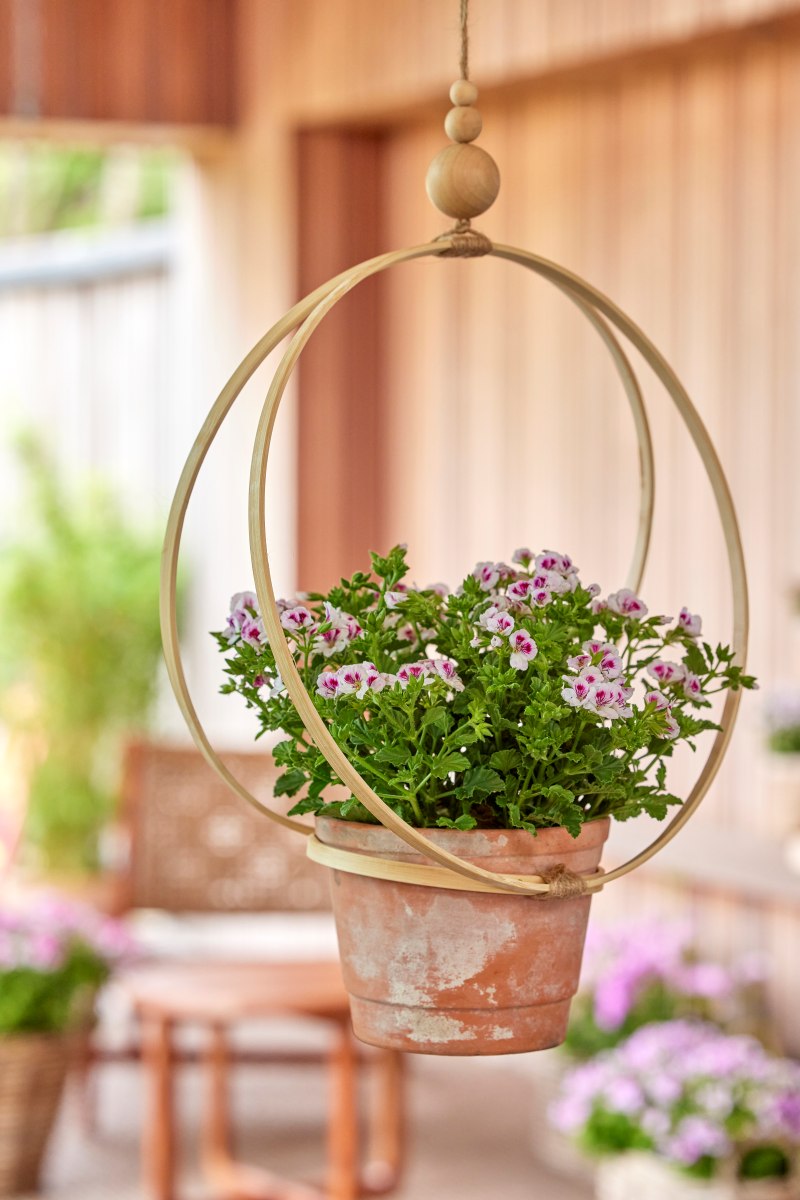 Due cerchi da ricamo di dimensioni diverse, nastro adesivo, spago e tre perline di legno si possono trasformare in un vaso sospeso fai da te per valorizzare qualsiasi spazio esterno e qualsiasi fioritura. I cerchi possono essere uno dal diametro di 30 cm e uno di 13 cm, oppure di altre misure a patto di rispettare queste proporzioni. Il bordo superiore del vaso, inoltre, dovrebbe essere più grande di un paio di centimetri rispetto al diametro del cerchio più piccolo. Copyright immagine Pelargonium for Europe