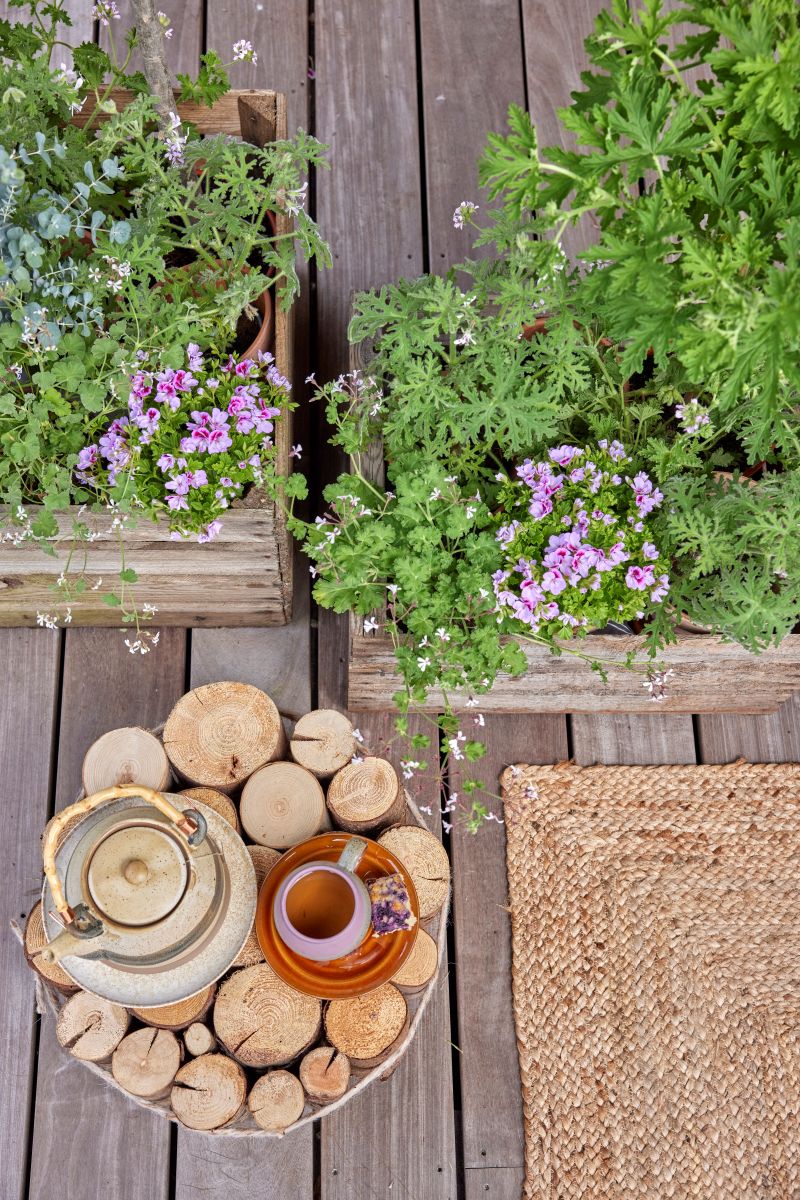 Non è per forza necessario acquistare nuovi arredi da giardino: a volte basta un po' di creatività e qualche materiale di recupero. Si possono ad esempio raccogliere piccoli tronchi di legno di diverso diametro ma di altezza uguale e legarli insieme con una corda spessa per ottenere un tavolino dall'aspetto rustico e originale, intorno a cui disporre gerani colorati per aggiungere colore e vivacità. Copyright immagine Pelargonium for Europe