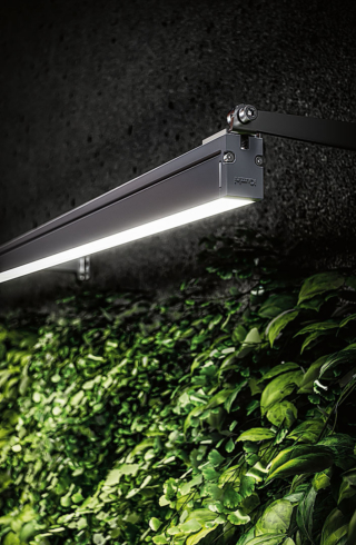 Linealuce Mini 27R di iGuzzini Illuminazione (www.iguzzini,com)
è una fessura di luce tridimensionale, estremamente sottile (P 2,7 cm), che si mimetizza grazie anche alle diverse finiture. Con tripla ottica brevettata, per l'effetto desiderato in base alle esigenze, può creare anche una lama di luce radente. Controllabile con l’app Smart Light Control da smartphone, è realizzata con materiali (alluminio e vetro) riciclati e riciclabili.
Costa a partire da 250 euro. Linealuce Mini 27R di iGuzzini Illuminazione (www.iguzzini,com)
è una fessura di luce tridimensionale, estremamente sottile (P 2,7 cm), che si mimetizza grazie anche alle diverse finiture. Con tripla ottica brevettata, per l'effetto desiderato in base alle esigenze, può creare anche una lama di luce radente. Controllabile con l’app Smart Light Control da smartphone, è realizzata con materiali (alluminio e vetro) riciclati e riciclabili.
Costa a partire da 250 euro.