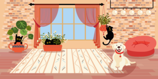 animali condominio