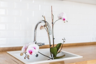 Orchid,Flower,In,White,Sink